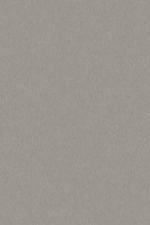 Splashback Kronospan K523 PE Platynowy Dysk